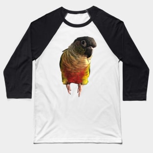 Green Cheek Conure Parrot Bird design, Love for birds Baseball T-Shirt